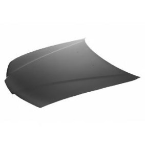 Motorhaube 2536660