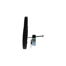 Compre Piloto trasero de BOSCH online para Megane I Furgoneta / Hatchback (SA0/1) a precios moderados