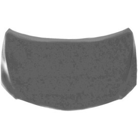 Motorhaube 5389660