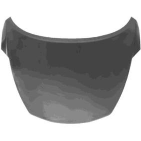 Motorhaube 3380670