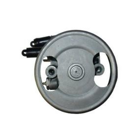 Servopumpe 53819