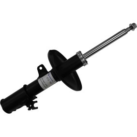 Stoßdämpfer 313 787