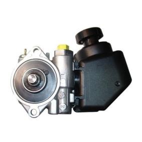 Servopumpe 54305