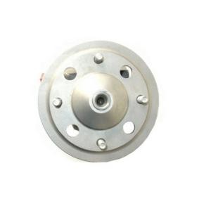 Servopumpe von SPIDAN für Previa / Estima (_R1_, _R2_) günstig online kaufen
