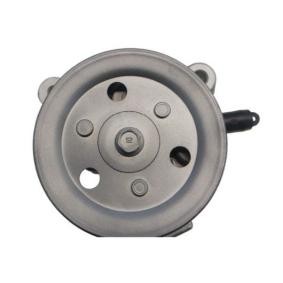 Servopumpe 53691 von SPIDAN günstig für 330,78 € online kaufen