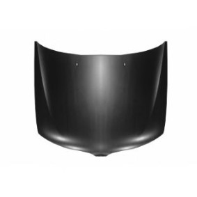Motorhaube 3319670
