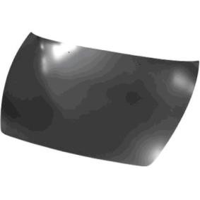 Motorhaube 5942660