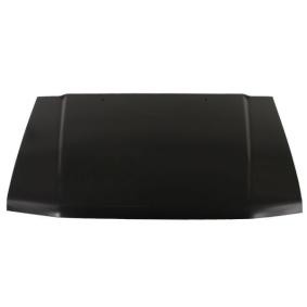 Comprar Capó de BLIC 6803-00-3731280P a bajo precio de 77,21 €