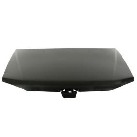 Motorhaube 6803-00-5513281P