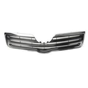 Kühlergrill 6502-07-8161991P