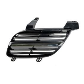 Kühlergrill 6502-07-1632991P
