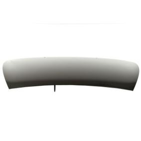 Motorhaube 6803-00-2505281P