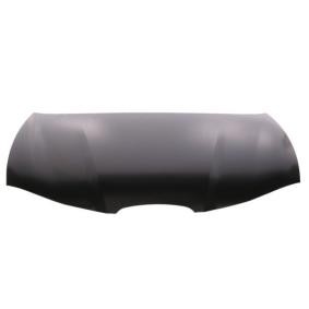 Motorhaube 6803-00-6609280P