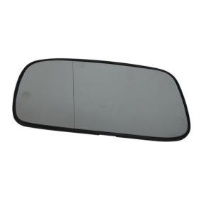 Spiegelglas, Außenspiegel 6102-02-1221215P