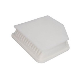 Luftfilter B21079PR