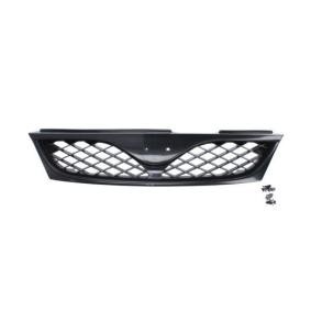 Kühlergrill 6502-07-1629993P