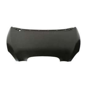 Motorhaube 6803-00-6612280P