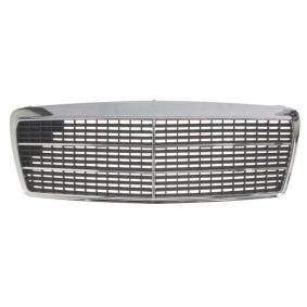 Kühlergrill 6502-07-3527995P