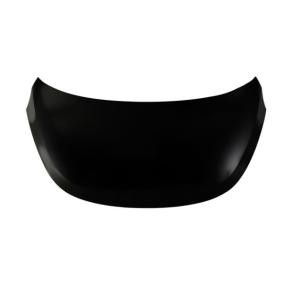 Motorhaube 6803-00-3120280P