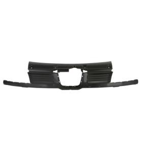 Kühlergrill 6502-07-6608990P
