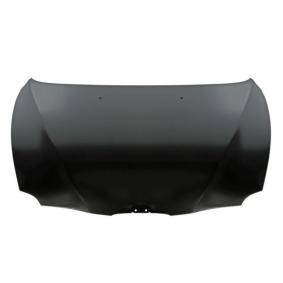 Motorhaube 6803-00-0109280P