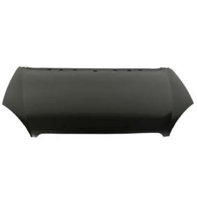 Motorhaube 6803-00-0524280P