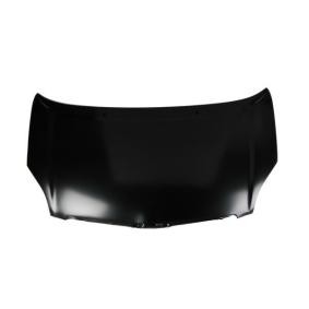 Motorhaube 6803-00-8117280P