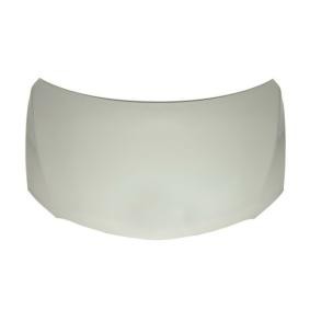 Motorhaube 6803-00-8116282P