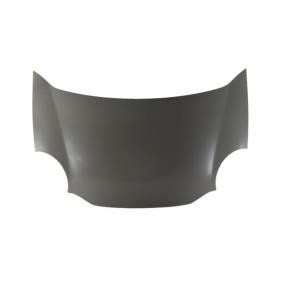 Motorhaube 6803-00-1103280P