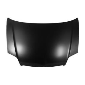 Motorhaube 6803-00-8116281P