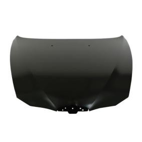 Motorhaube 6803-00-0109281P