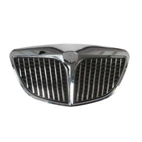 Kühlergrill 6502-07-3330992P