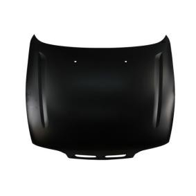 Motorhaube 6803-00-2026280P
