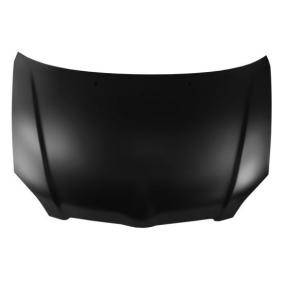 Motorhaube 6803-00-8116280P