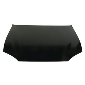 Motorhaube 6803-00-3162281P