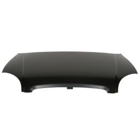 Motorhaube 6803-00-3125280P