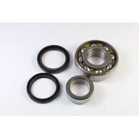 Acquista Kit cuscinetto ruota da KANACO H28010 a buon mercato per soli 36,31 €