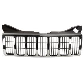 Kühlergrill 6502-07-3205991P
