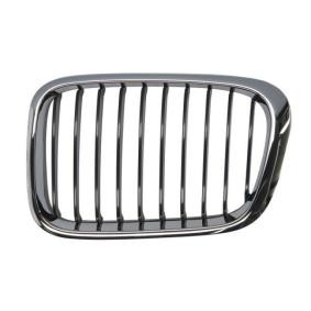 Kühlergrill 6502-07-0061993P