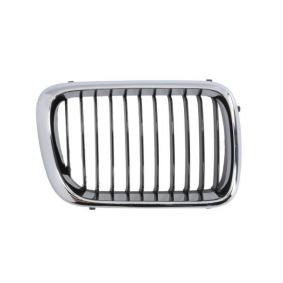 Kühlergrill 6502-07-0060998P