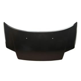 Motorhaube 6803-00-0511281P