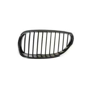 Kühlergrill 6502-07-0066991P