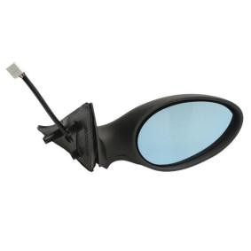Acquista Specchietto retrovisore esterno da BLIC 5402-04-1121273P a buon mercato per soli 76,50 €