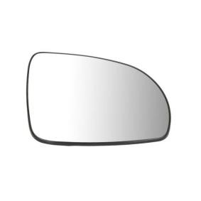 Spiegelglas, Außenspiegel 6102-02-1292137P