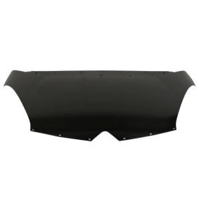 Motorhaube 6803-00-0538280P