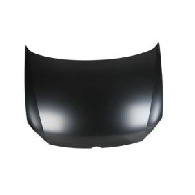 Motorhaube 6803-00-9507280P
