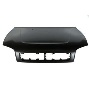 Motorhaube 6803-00-8137280P