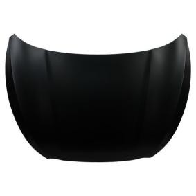 Motorhaube 6803-00-3176280P