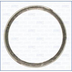 Dichtring, Abgasrohr 19003600