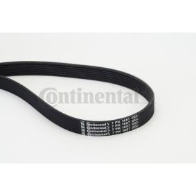 Keilrippenriemen 7PK1687